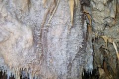 20250430_093500-295cb0466928c67d8e8d8509e2d5fa91-scaled