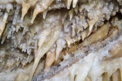 20250430_093941-427adfb9227040dd8fb4569f8014d336-scaled