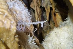 20250430_094121-d424871d4711e0ab2604dda90861b2fb-scaled