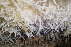 20250430_094735-6a5de4fc132f9157fc4f3f944962c5b7-scaled