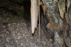 20250430_095229-bb5977b4add5ff74abdc5ce7451b433e-scaled