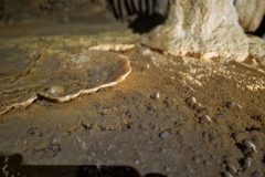 20250430_095442-846f21d730b948fcad6242beff5fbb28-scaled