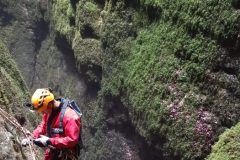 2025_09_13_036_v1-657f7c9005a5975cb81eb10c44a95eb7-scaled