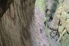 2025_09_13_043_v1-64fa7009a9778e7ae1242d3a9817ef20-scaled