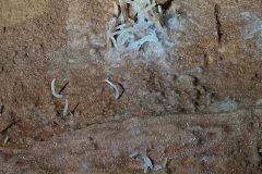 Excentriques-3-5265e9f1223ee33dde06cb340ce30b36-577x1024