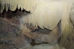 Riviere-orange-2-25e8a88e6cd9a9528e2fbce4cc2d8688-577x1024