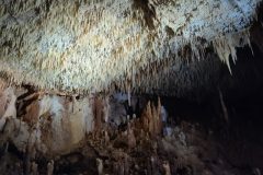 Salle-du-Leopart-1-58eadd5d61fa11508423f7f089c3df43-1024x577