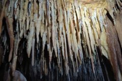 Salle-du-Leopart-2-6fc71d3dc069760b1e5a4c5e23cd4f24-1024x577