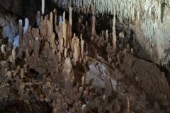 Salle-du-Leopart-3-fd55bf82d8610dc3226b46b158fec610-577x1024