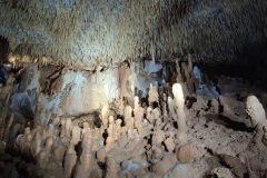 Salle-du-Leopart-5-7bd3d335f2e5132ef2e74b1e6eedf20f-1024x577