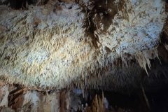 Salle-du-Leopart-7-4c914df1f82b70660a94c319e159cf07-1024x577