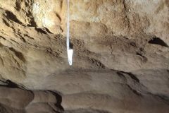 WhatsApp-Image-2025-09-20-at-20.56.232-cc557ded639b8d4c731db2d8761a25e4-577x1024