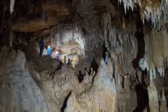 2025_12_07_024-e164a74edeb1cb0e394955cc0fbfb9cf-scaled