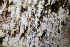 1_20251229_141007-2661dba5b78ead97bb21cb9701171636-scaled