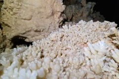 1_20251229_144152-9c9a82fe6203b54e52c1ca226df12012-scaled