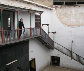 OLYMPUS DIGITAL CAMERA