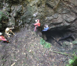 OLYMPUS DIGITAL CAMERA