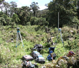 OLYMPUS DIGITAL CAMERA