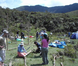 Digital StillCamera